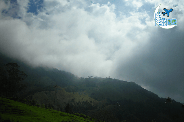 bosque de niebla en valle del cocora